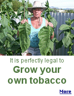 You can't sell it, but it is perfectly legal to grow it, smoke it, and nobody will be kicking down your door at 2 am.